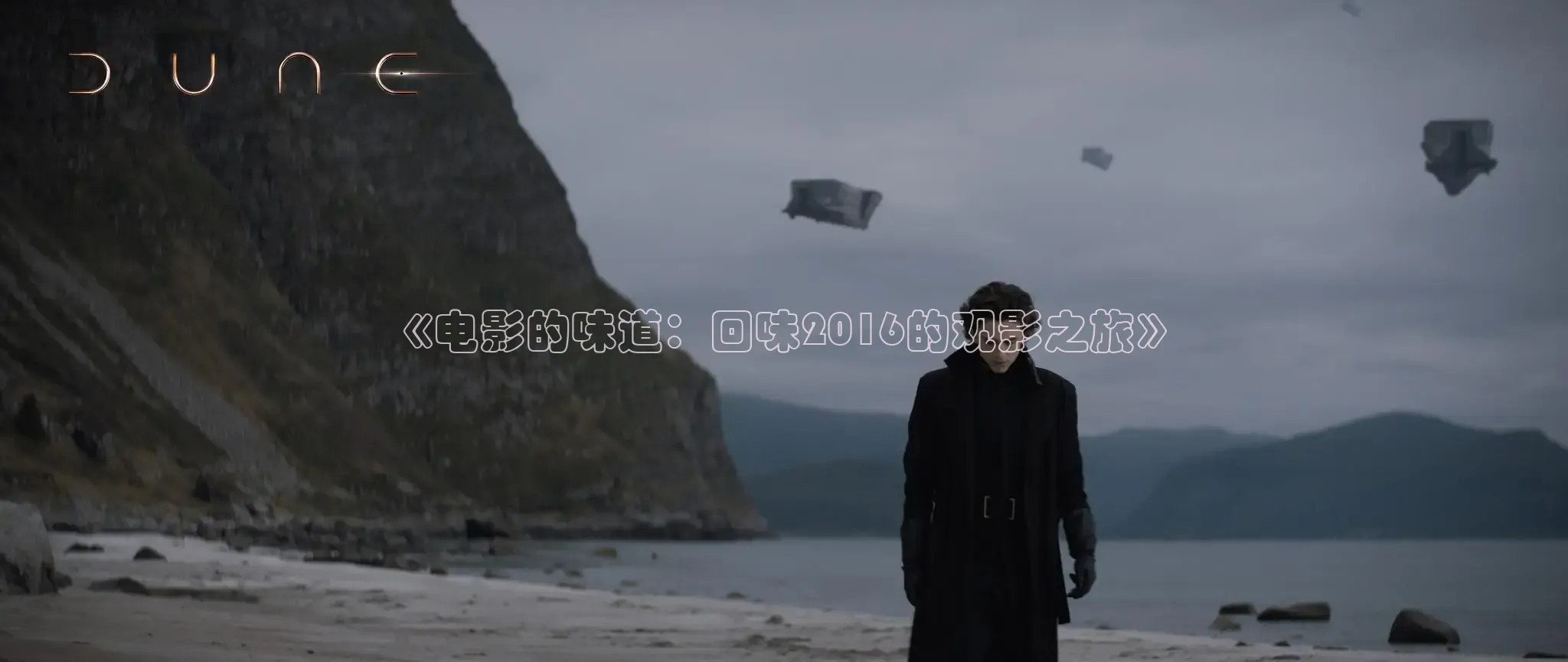 《电影的味道：回味2016的观影之旅》